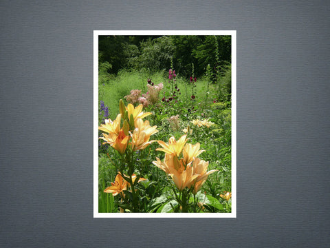 Lilies and Hollyhock - Set of 6 cards