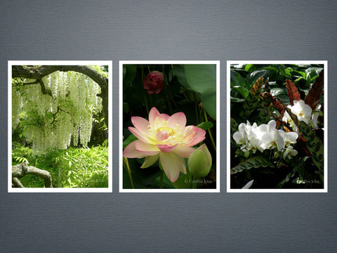 Essence of Flowers Set 1 - 6 cards